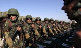 深圳阿军最新爆料,最新爆料背后的惊人真相