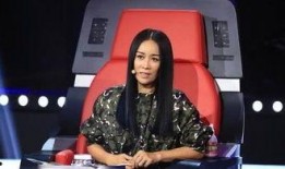 那英家世爆料是真的吗视频,揭秘真实身世之谜