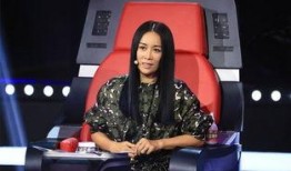 那英最新爆料视频,独家爆料背后的故事与感悟