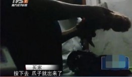 屠宰最新爆料视频大全集,屠宰行业内幕大揭秘视频全集深度解析